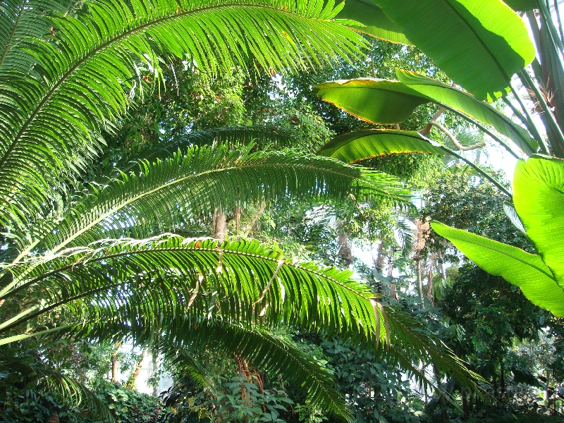 Western Michigan [2009] 167.JPG - Scenes from Frederik Meijer Gardens & Sculpture Park.